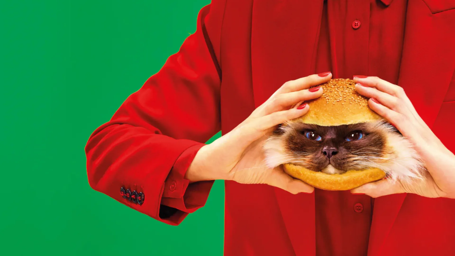 Nell'immagine un quadro della mostra a Roma