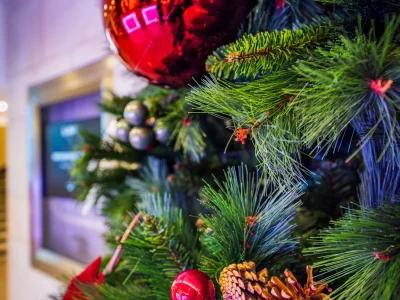 Nell'immagine un albero di Natale addobbato.